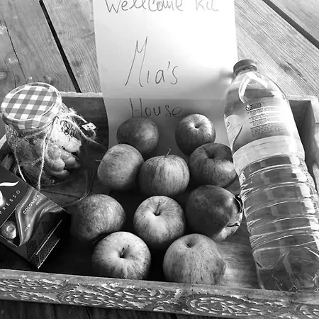فيلة Mia's House *